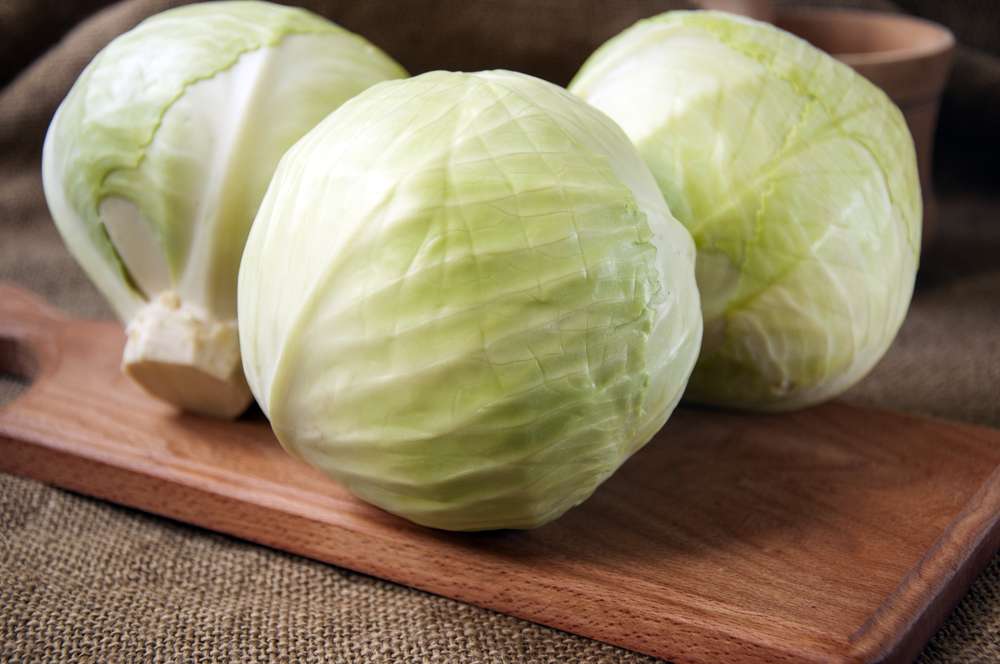 Weißkohl