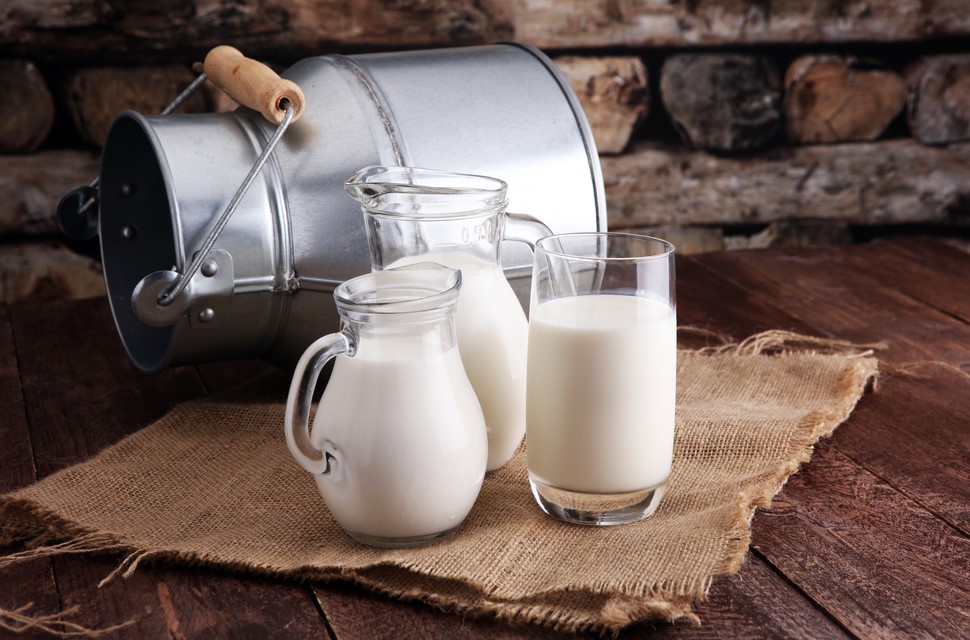 Gastro Haltbare Milch 1,5% Fett 10Ltr