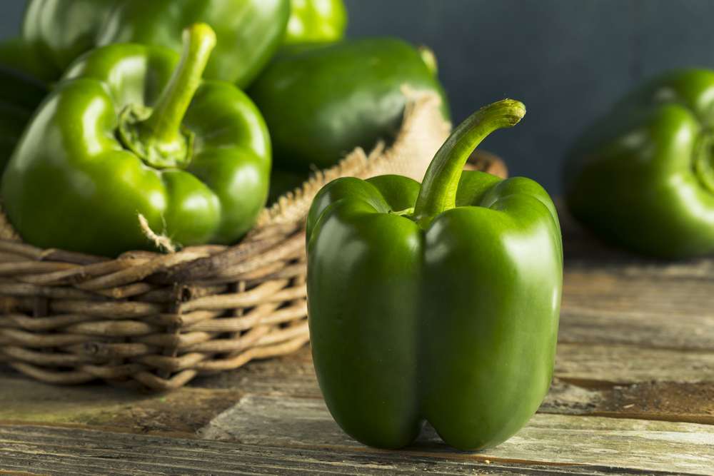 Paprika grün
