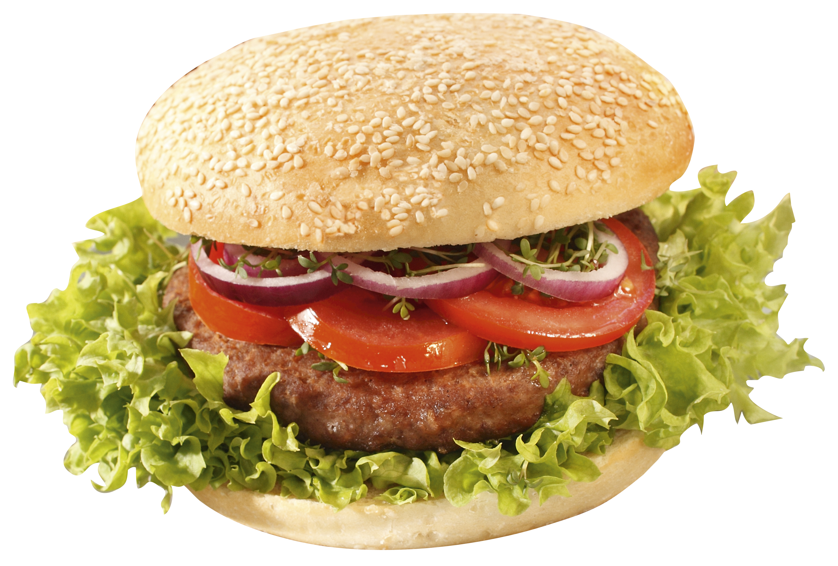 Gourmet Burger Sesam 100g