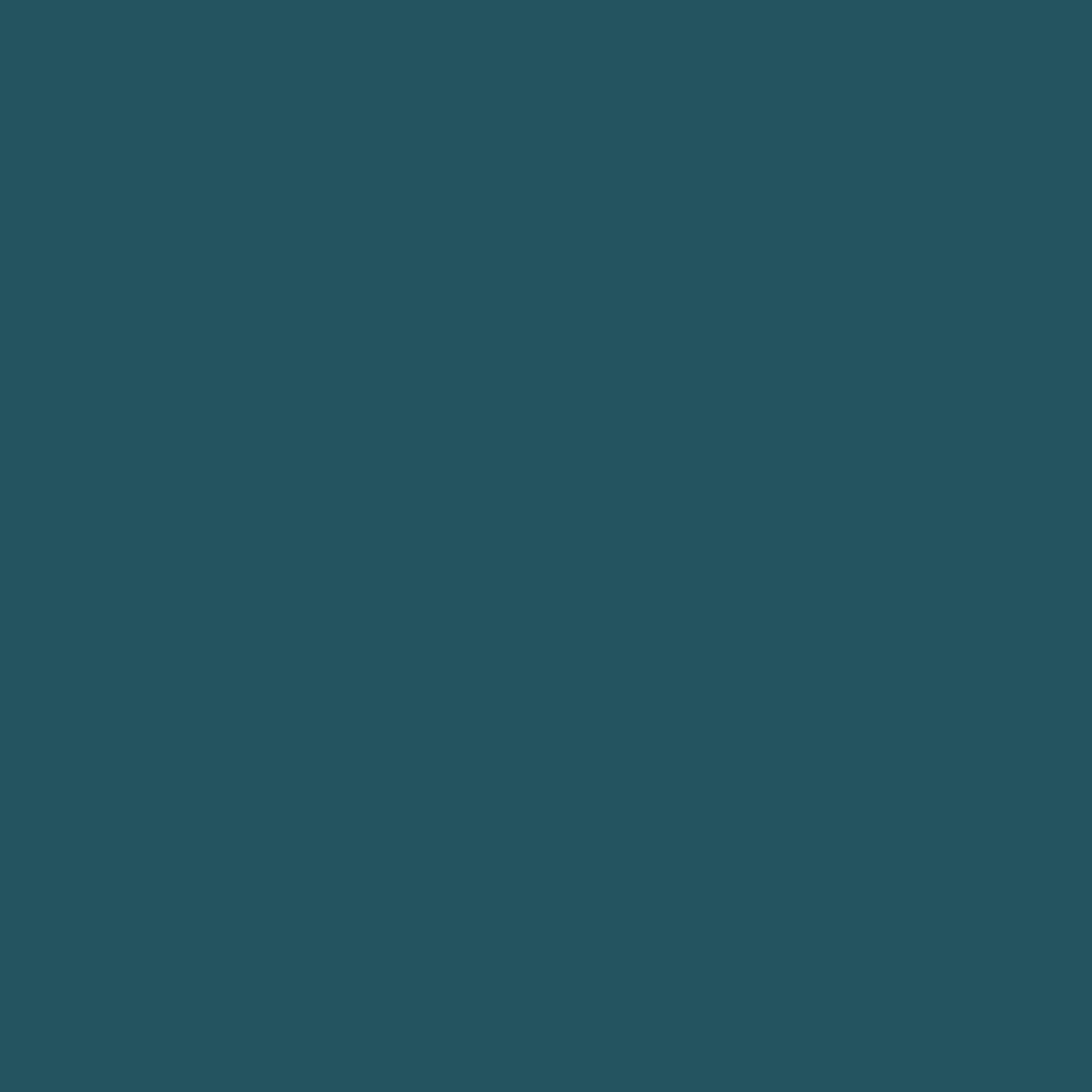 Tissue Serviette Ocean Teal