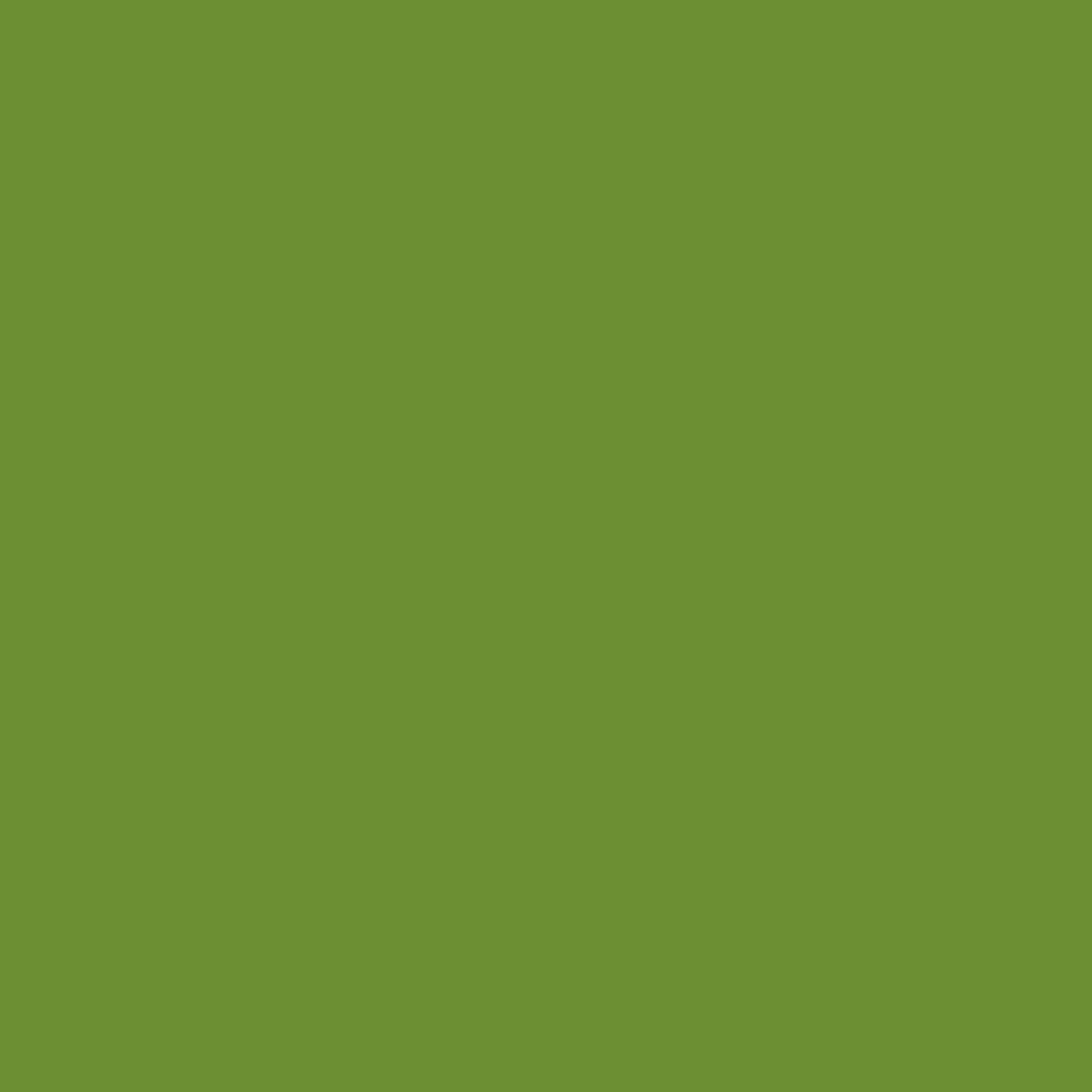 Dunisoft-Serviette Leaf Green