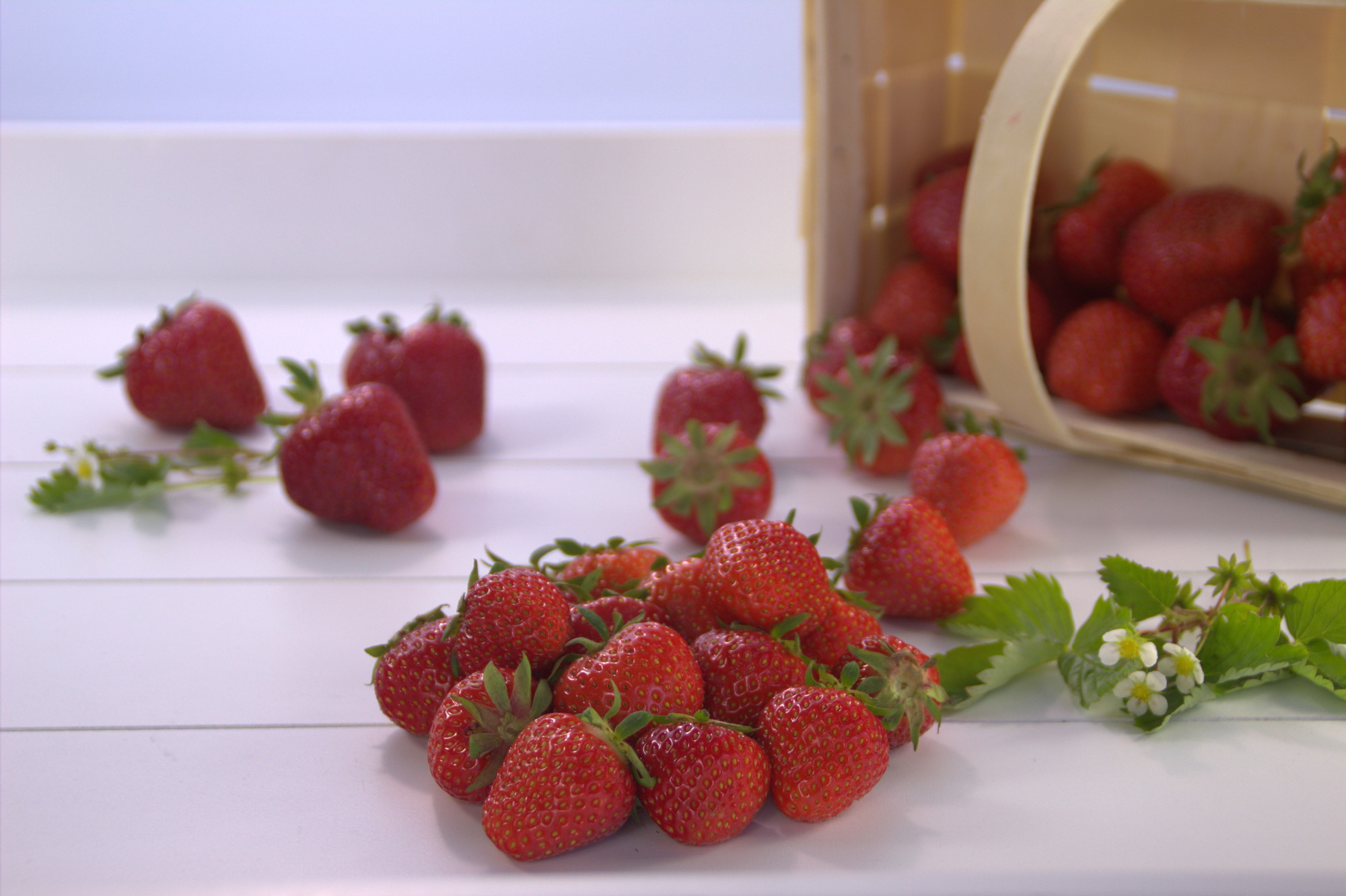 Erdbeeren 2500g