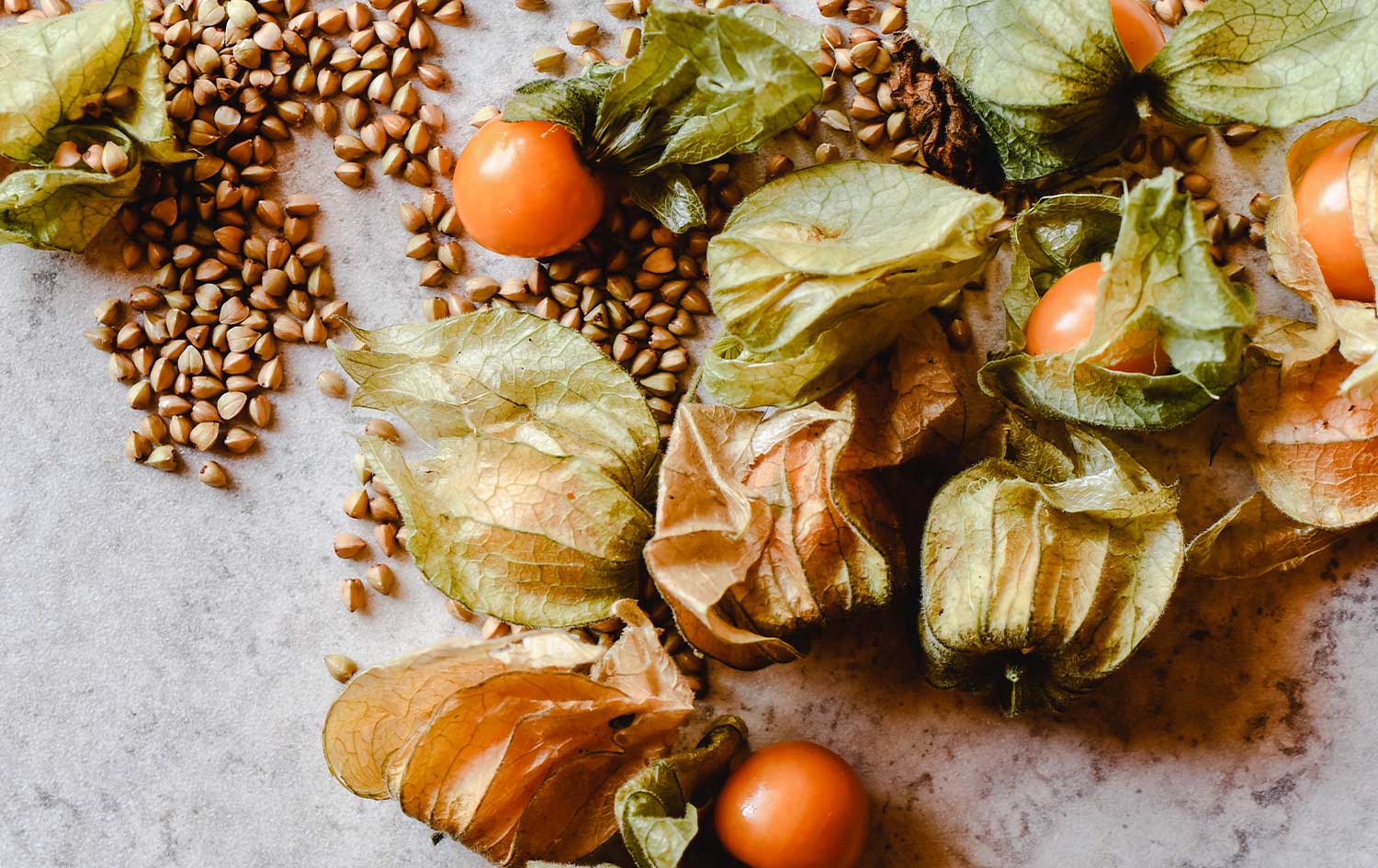 Physalis