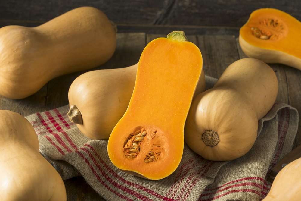 Butternut-Kürbis 10kg